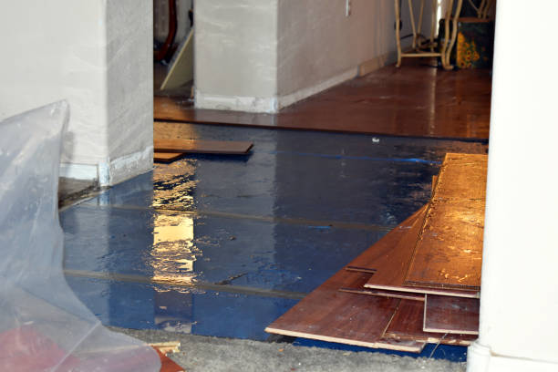 Professional Basement Flood Cleanup technician working in Waukau, WI